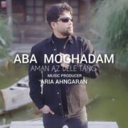 دانلود آهنگ جدید آبا مقدم امان از دل تنگ
